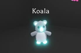 Looking For Full Grown Koalas Fandom - koala roblox adopt me