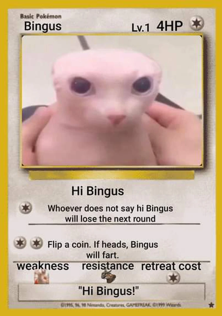 If You Want Wink Wink I Can Give More Bingus In The Comments B Also Bow To Bingus Fandom