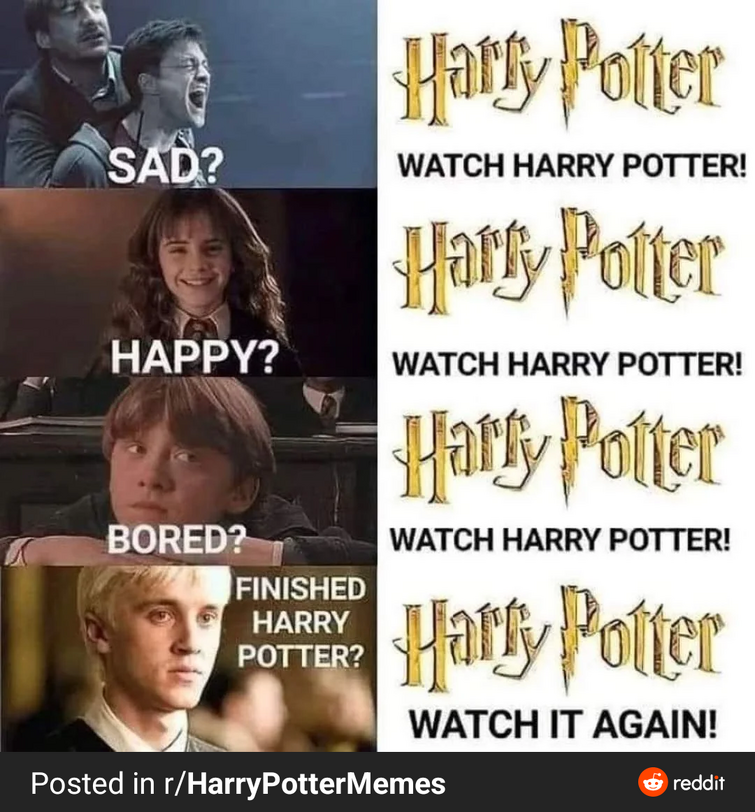 TOP TWENTY FUNNIEST/BEST HARRY POTTER MEMES ON REDDIT IN JUNE 2020