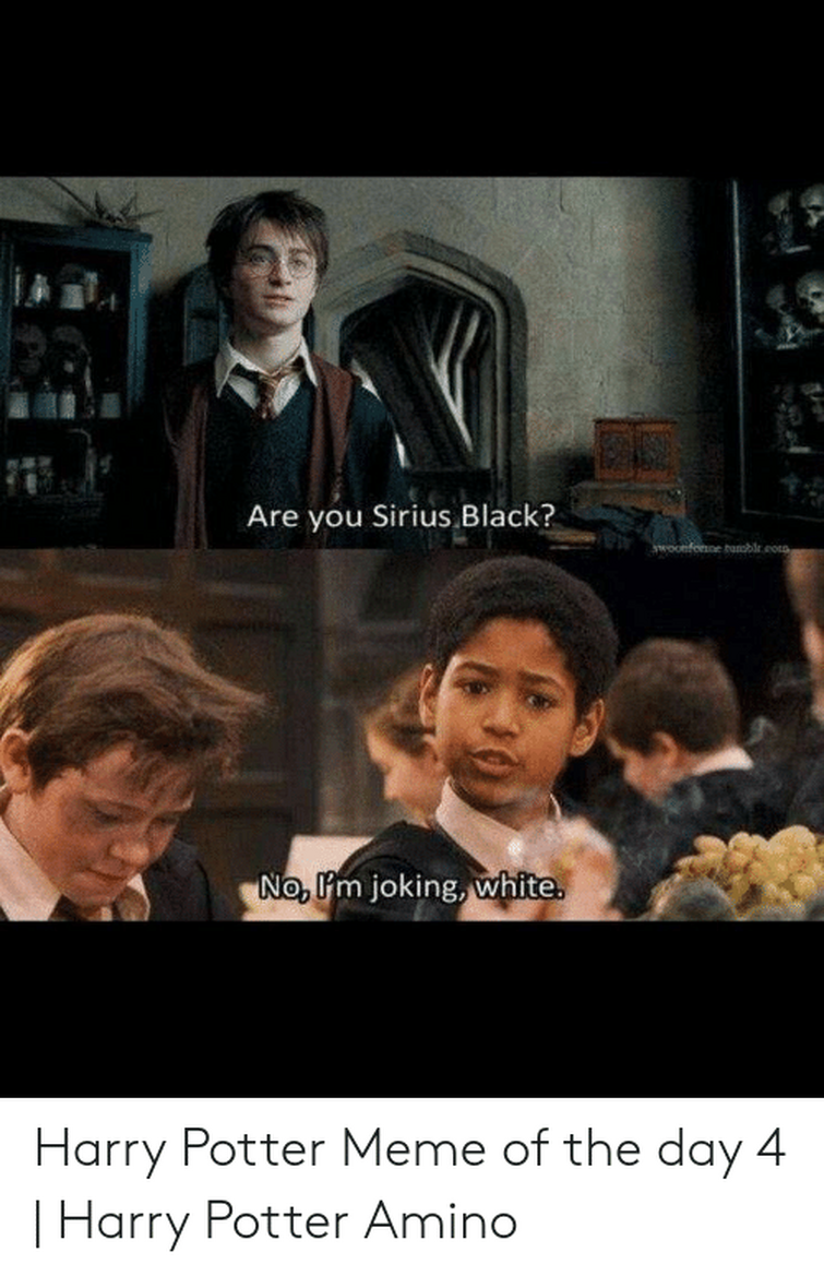 Harry Potter Memes Part 4 