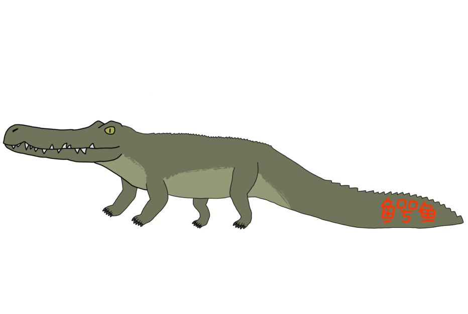 Asiatosuchus | Fandom