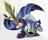 Brawl Meta Knight Supremacy's avatar