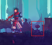 RoseInGarden.png