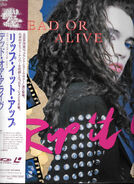 Japan Laserdisc 12" Cover