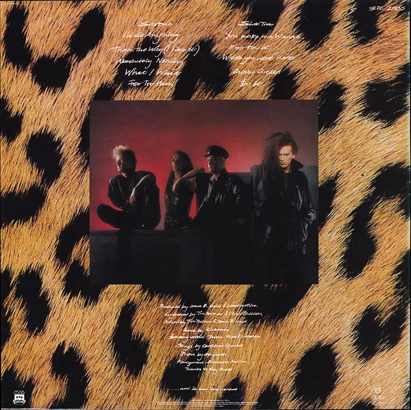 Sophisticated Boom Boom | Dead or Alive (band) Wiki | Fandom