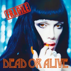 Fragile | Dead or Alive (band) Wiki | Fandom