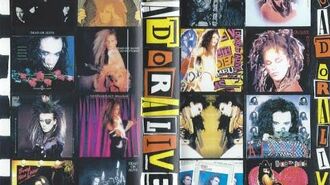 Full_1991_Dead_Or_Alive_Fan_Club_VHS_Tape