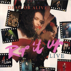 レア！デッド・オア・アライブ／Rip It Up 1987 ツアーパンフレット デッド・オア・アライブ／Rip It Up Japan Tour 1987 | 洋楽