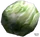 Dead rising Cabbage