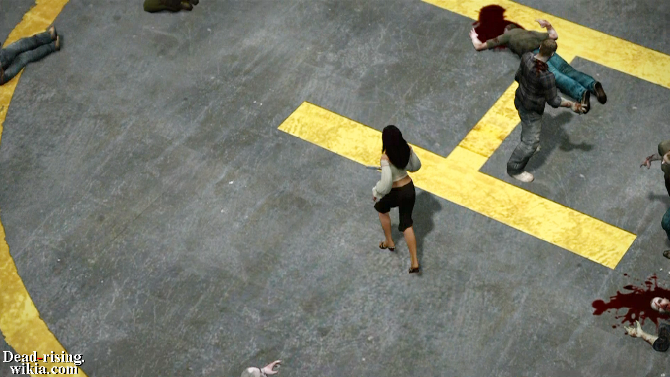 dead rising 5 day survivor
