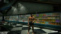 Dead rising seons dairy