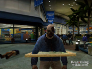 Dead rising paintings (9)