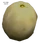 Dead rising Melon