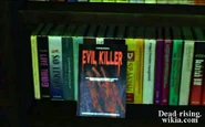 Dead rising book (2).png (192 KB)