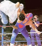 Brooklyn Brawler - WWF Merlin 1993 - #29 - German Edition