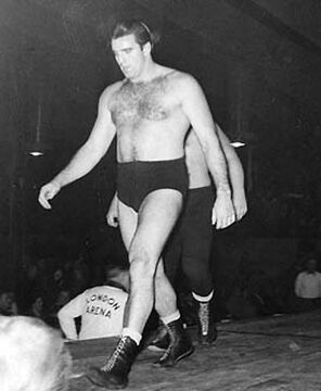 Wrestling database hot sale