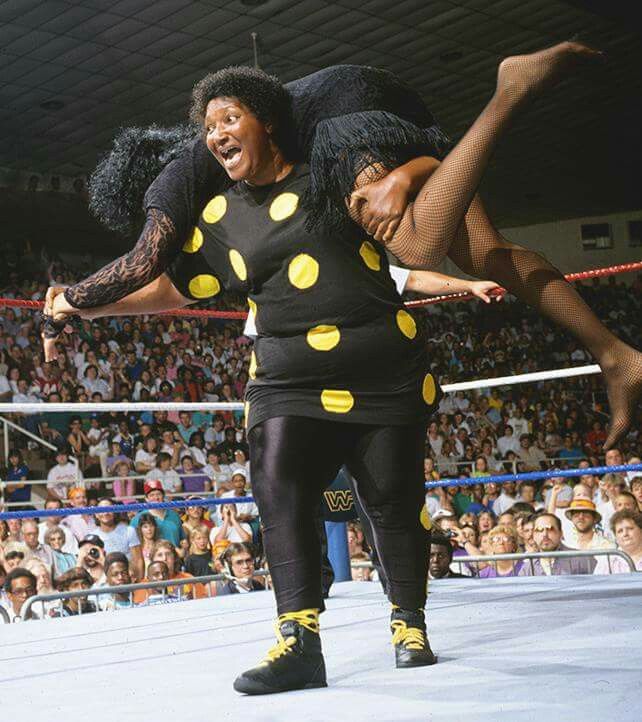 Sensational Sherri, Dead wrestler database Wiki