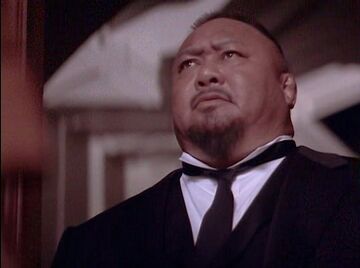 Toru Tanaka | Dead wrestler database Wiki | Fandom