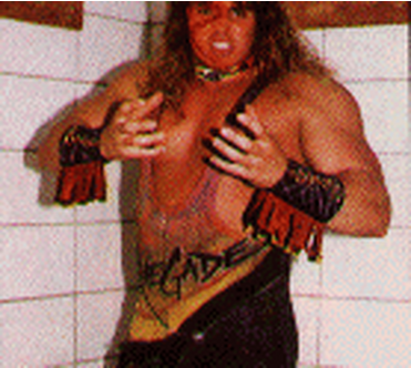 Randy Savage, Dead wrestler database Wiki