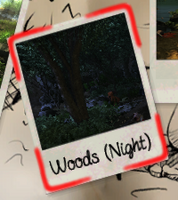 Woods night.png