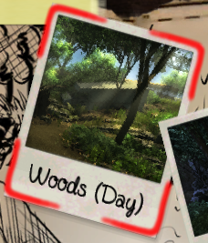 Woods-day.png