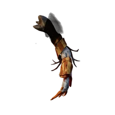 K28 Head008