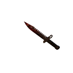 K29 W006