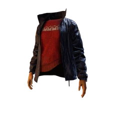 S40 Torso006