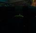 GT The Underground Complex Alt.png