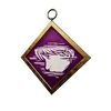 S33 PCharm003