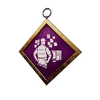 S12 PCharm002