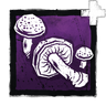 Vermilion Webcap