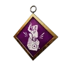 K12 PCharm003