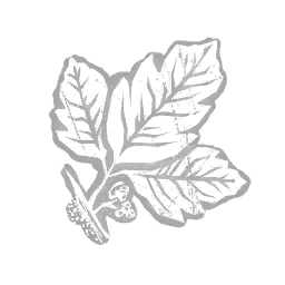 IconAddon poisonOakLeaves