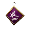 S09 PCharm002