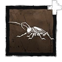 FulliconAddon jewelBeetle
