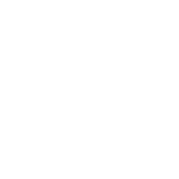 SurvivorZarina.png