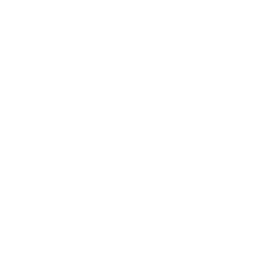 SurvivorFelix.png