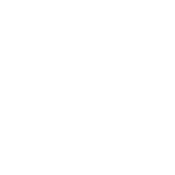 SurvivorTapp.png
