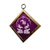 S29 PCharm003