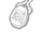 Amulette Prophylactique