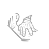 Bitter Murmur