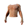 DK Torso001 01.png