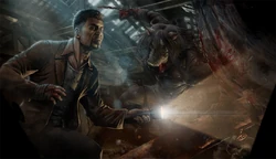 StoreBanner chapterXII 05