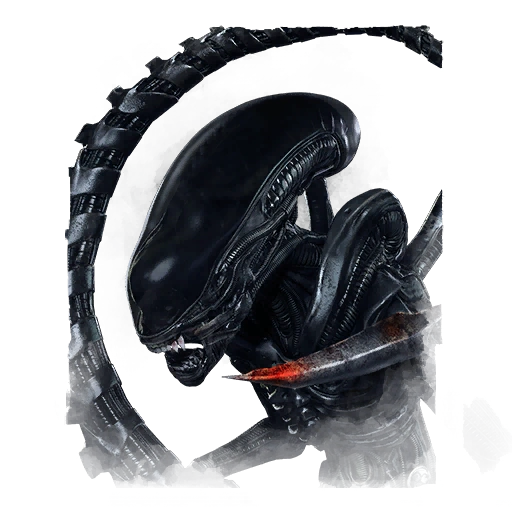Xenomorph