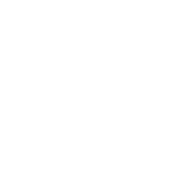 SurvivorLara