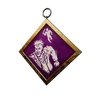 S34 PCharm003