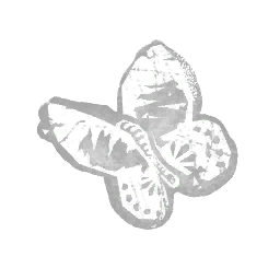 IconAddon deadButterfly