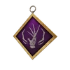 K10 PCharm002