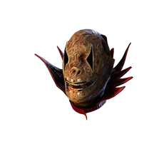 K21 Head017